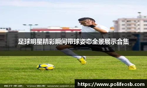 WTA巡回赛动态分析